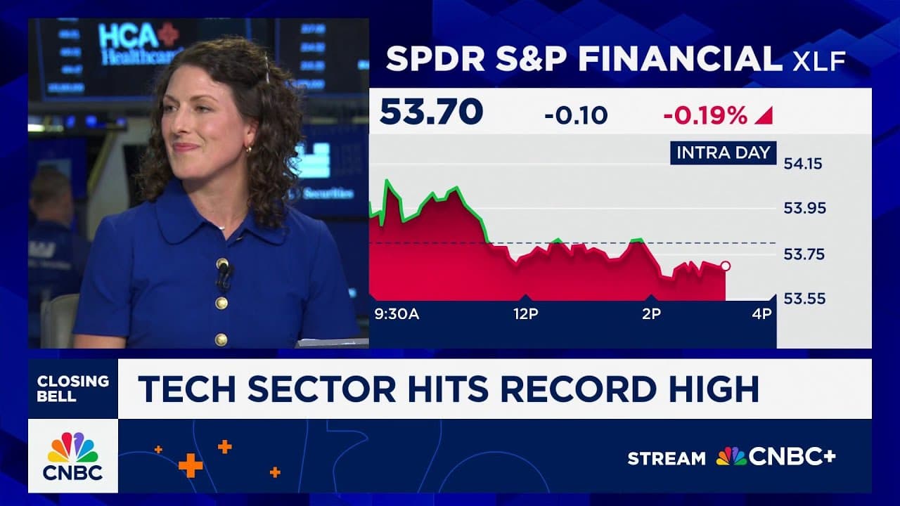 There's a level of interest for AI trade to continue, says Bartlett's Holly Mazzocca