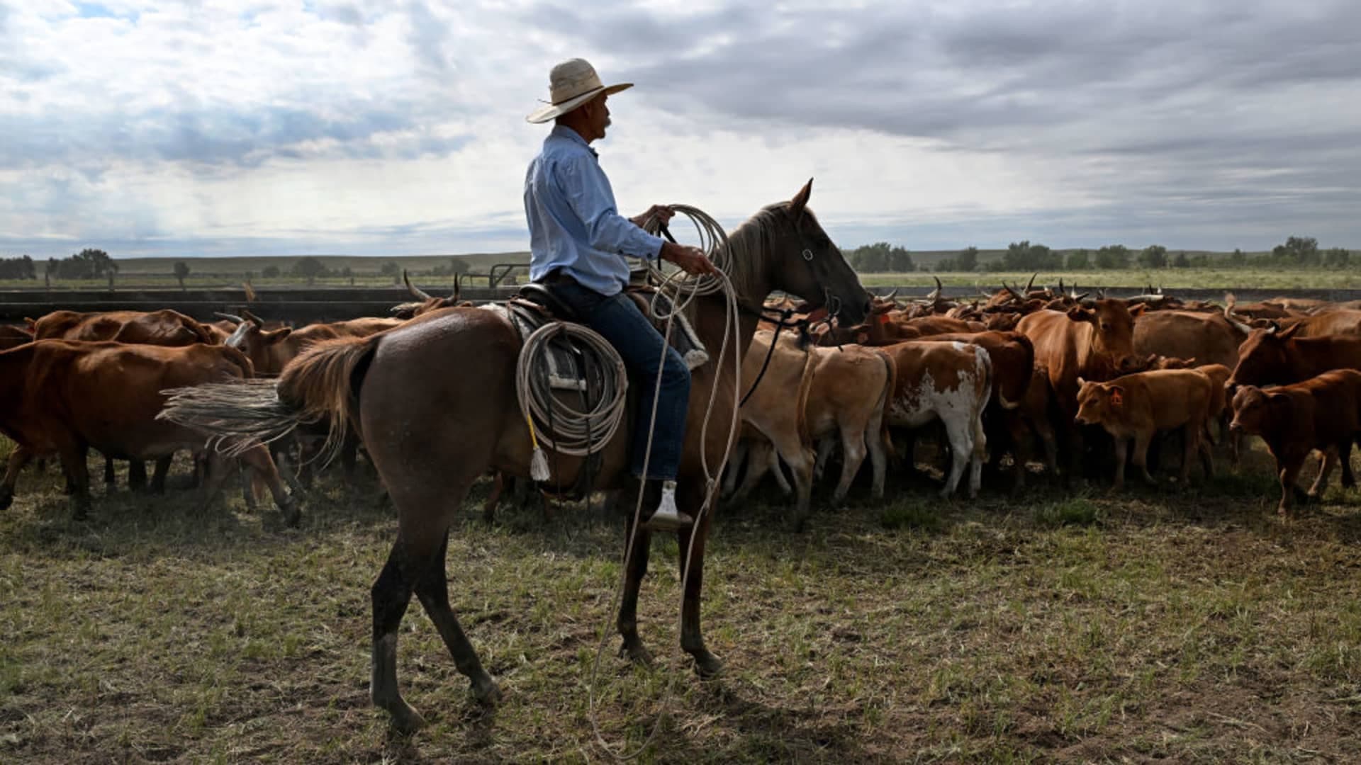 Trump says U.S. cattle ranchers 'don't understand' tariffs after some slam Argentine beef plan